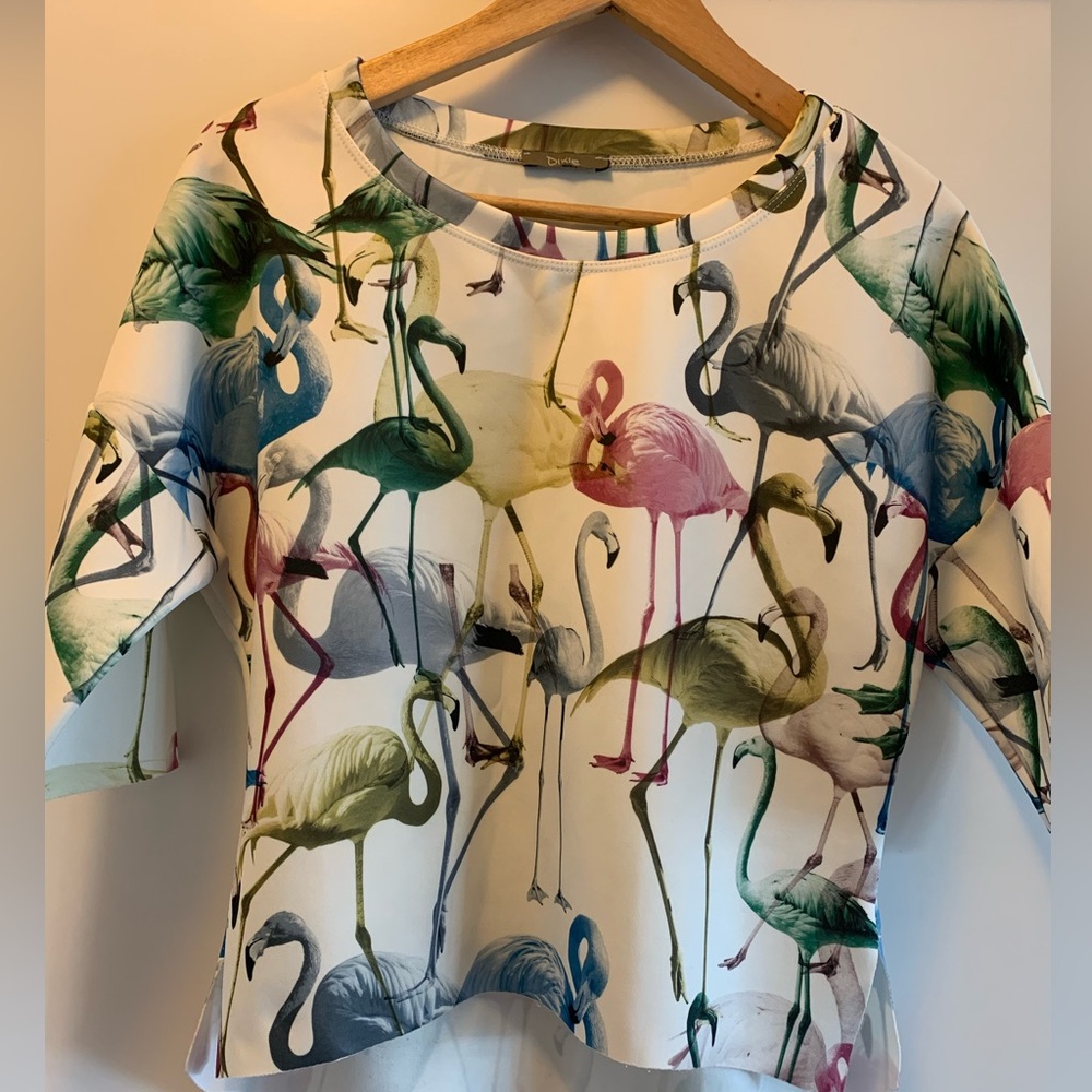 Flamingo Top